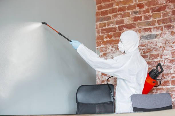 Best HVAC Mold Inspection and Cleaning  in Olathe, KS