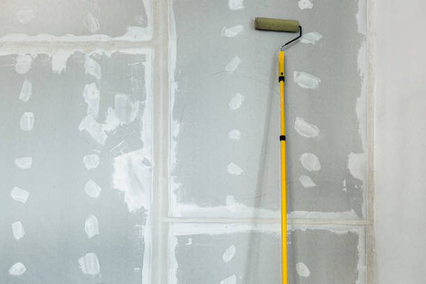 Best Emergency Mold Remediation  in Olathe, KS