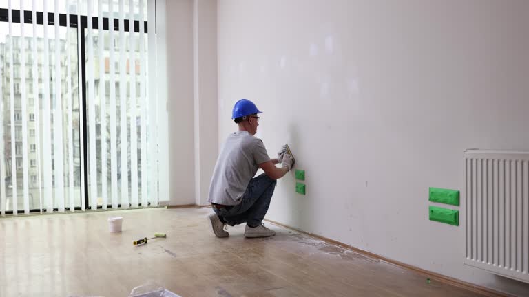 Best Mold Damage Restoration  in Olathe, KS