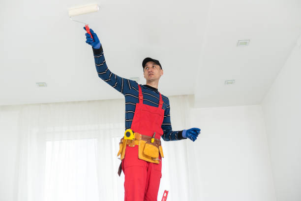 Best Dehumidification Services  in Olathe, KS